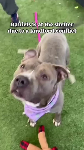 NVBv 10aRckVOFWR.jpg