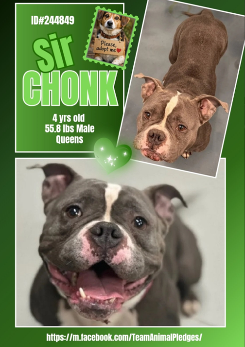 G J42LhbkAAcVJe?format=png.png