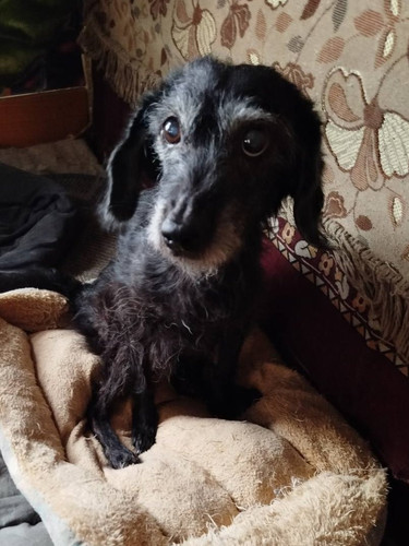 G nSiYjXQAAciws?format=jpg.jpg