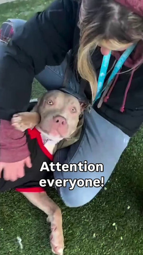 EGMc 4SHr 3AtqgQ.jpg