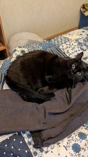 G nstUfWUAAPklg?format=jpg.jpg