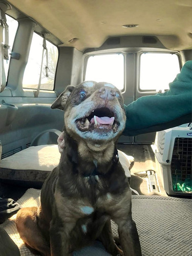 G fgyrOXEAATzk1?format=jpg.jpg