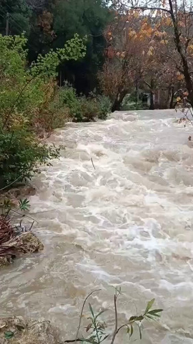 kA sII3qph8xsmfp.jpg