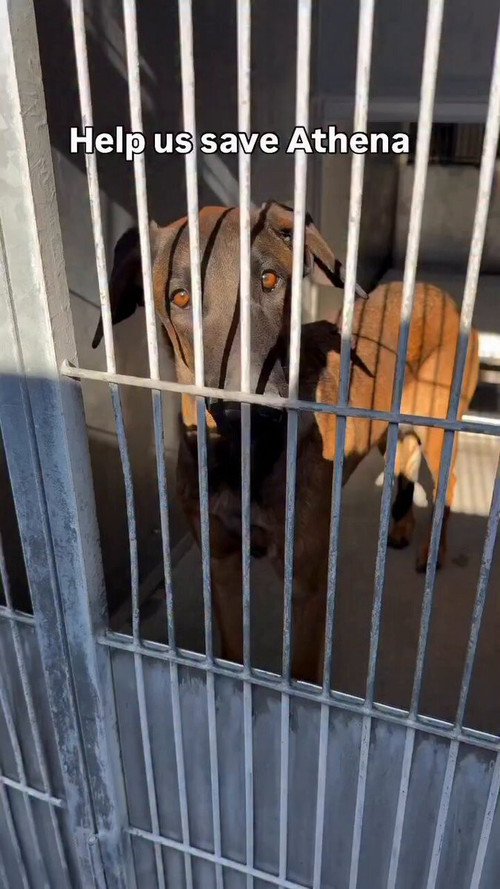 h2xu U3QqpIc7mMj.jpg