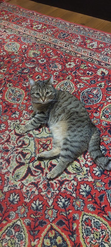 G mUaKibgAAFhgp?format=jpg.jpg