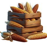 PilgrimsGrace crate4