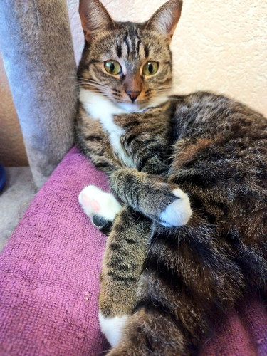 G ibn52WYAAmAzE?format=jpg.jpg