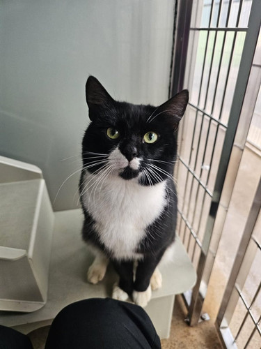 G irEsyWEAA6pcN?format=jpg.jpg