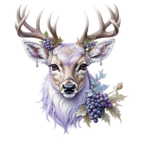 kits tammys welt first frost (11)