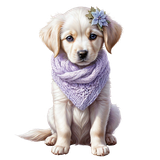 kits tammys welt first frost (7)