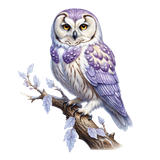 kits tammys welt first frost (14)