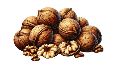 PilgrimsGrace nuts2.png