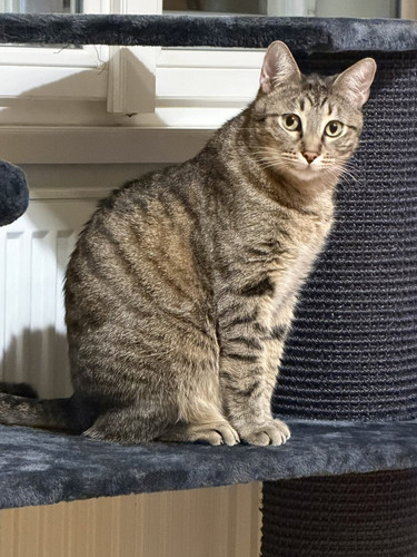 G nIsJ3WYAAt EH?format=jpg.jpg