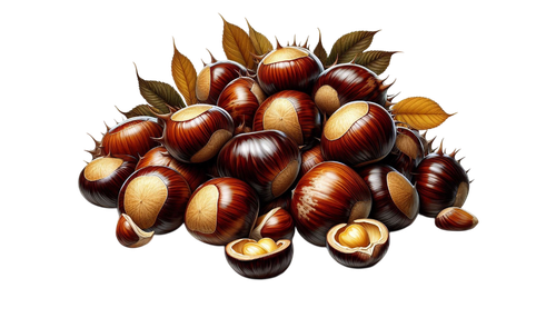 PilgrimsGrace nuts1.png