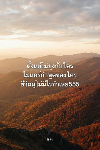 a97cd6328d7b.jpg