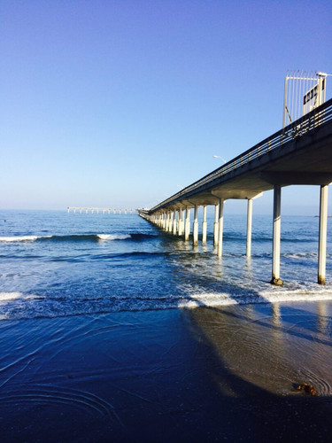 San Diego Vacation Rentals Near Ocean Beach | Coastal Stays by Blue Heron Cottages.jpg