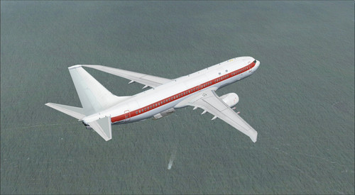 p8a.jpg