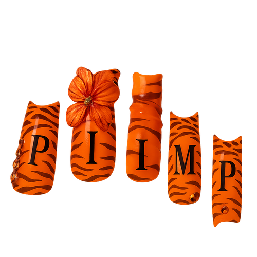 IMG 2609.png