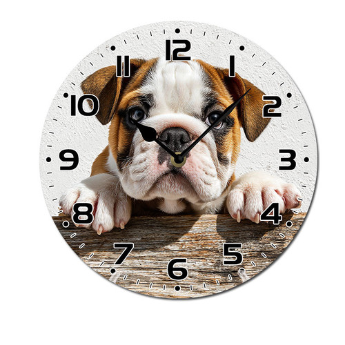 cute bulldog puppy 004 01.jpg