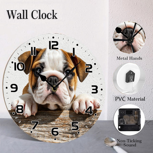 cute bulldog puppy 004 04.jpg