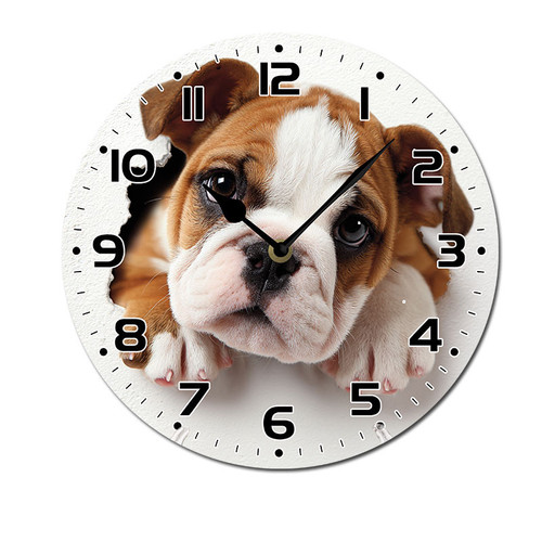cute bulldog puppy 005 01.jpg