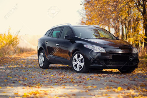 36332287 the car on the nature near autumn park.jpg