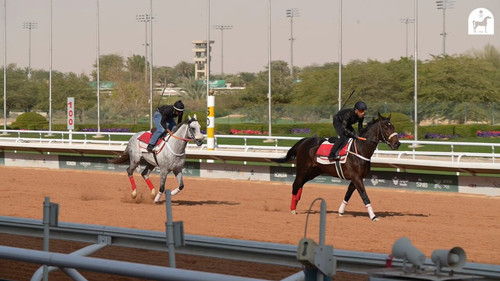 8 p1 yu 715an3OR.jpg