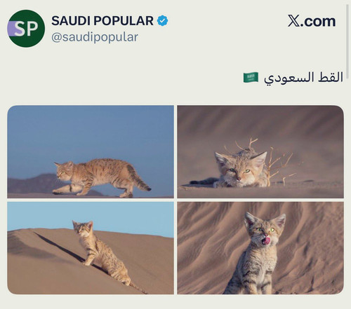 G dTIu5aYAABVwF.jpg