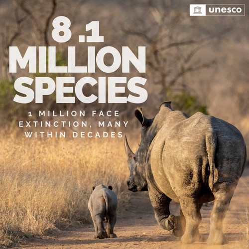 G fiGL XgAAlyW ?format=jpg.jpg