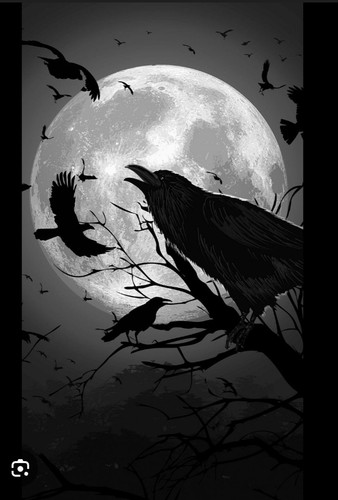 IMG 20260113 143152.jpg