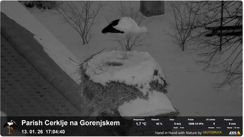 MWSnap206.jpg