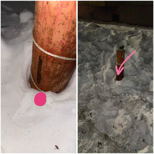 9A3AF965 9554 4B98 B055 5A48EFB3FB88.jpg