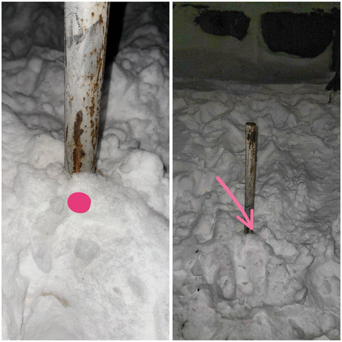 0A24DD16 177C 4984 B4BC 11240A9CE1AC.jpg