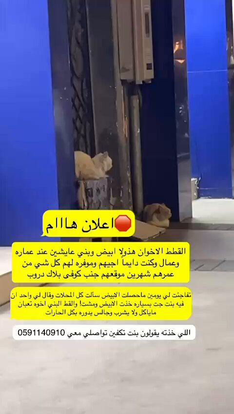 iAsv S3DqjVxc6U4.jpg