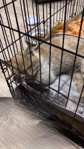 G i4218W8AAeEjh?format=jpg.jpg