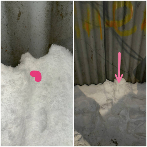 0AD03EAB 59C7 4ABA 8FD6 CDAC8EBC6938.jpg