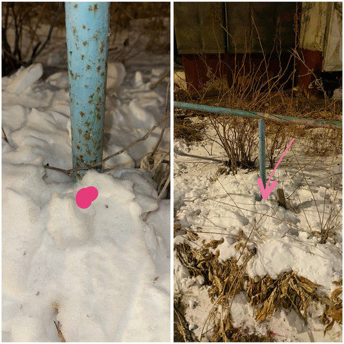 EB3E8D56 360E 4A83 B2CD 7E158617CDDD.jpg