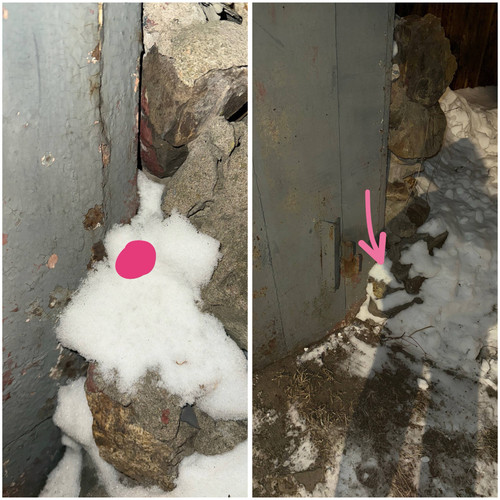 C6F2B9EA 8FE2 43ED A83B 20805F13B9D1.jpg