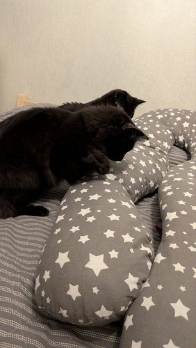 G jLsrLWsAAXQkO?format=jpg.jpg