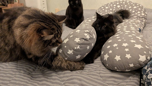 G kAyZ1W4AAbyJe?format=jpg.jpg