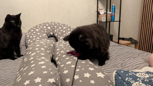 G kAyX2XYAAzaxb?format=jpg.jpg