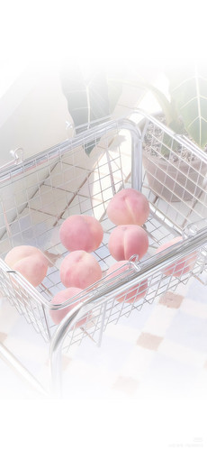 Camera 1040g3k831r6p5h957g2g5nmj6cig8r8tjfpdmm0.jpg