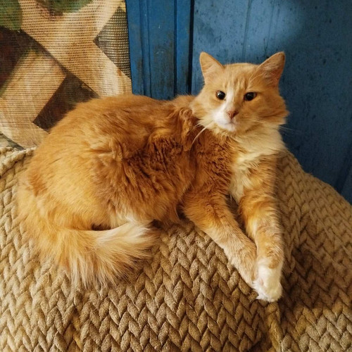 G nWqOAW0AA1hwE?format=jpg.jpg