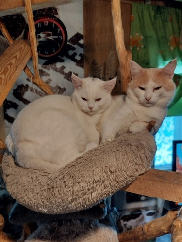 G nWnwna8AEywS4?format=jpg.jpg