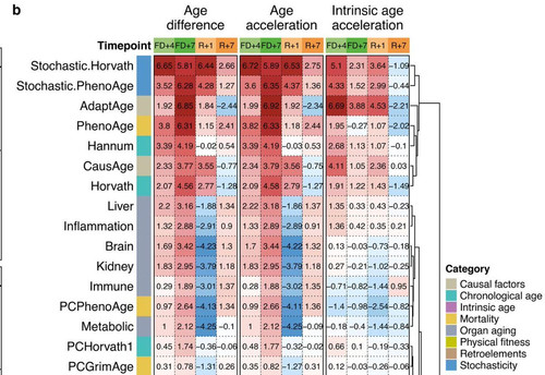 G ooZ0PXAAA J4Q?format=jpg.jpg