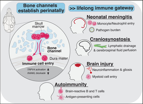 G jrwqsbQAUfMJr?format=jpg.jpg