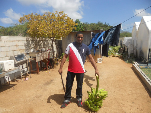 Gallery Ryan Robinson 14.jpg