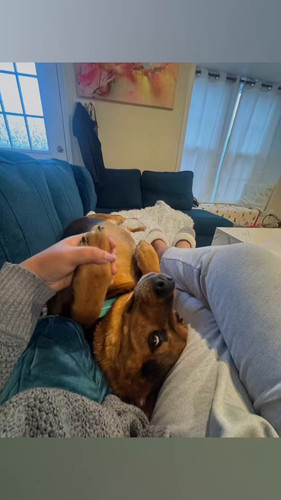 D2q2H3 pkTqUP9jp.jpg