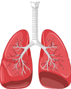 Screenshot 2026 01 13 204616.png