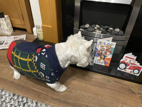 G h1STUWoAEmpaq?format=jpg.jpg